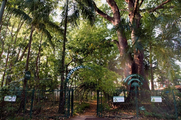 Herbal Garden