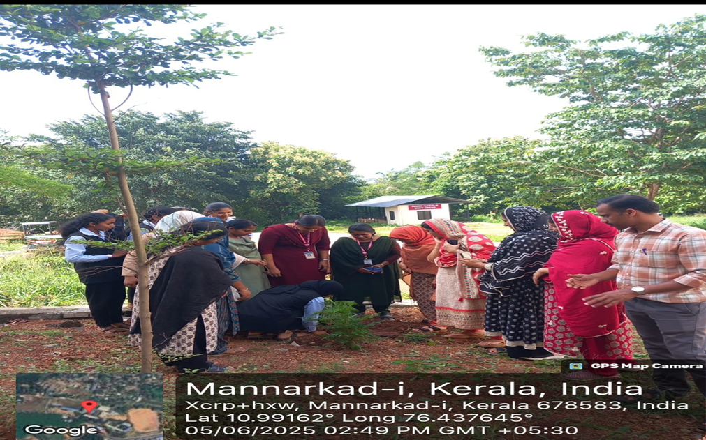 Environmental Day – June 5, 2025